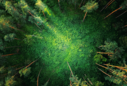 klimabezogene KI Behauptungen