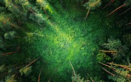 klimabezogene KI Behauptungen