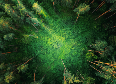 klimabezogene KI Behauptungen