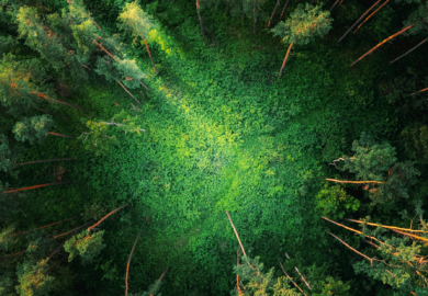 klimabezogene KI Behauptungen