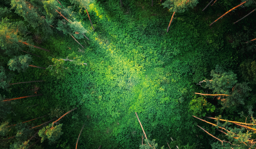 klimabezogene KI Behauptungen