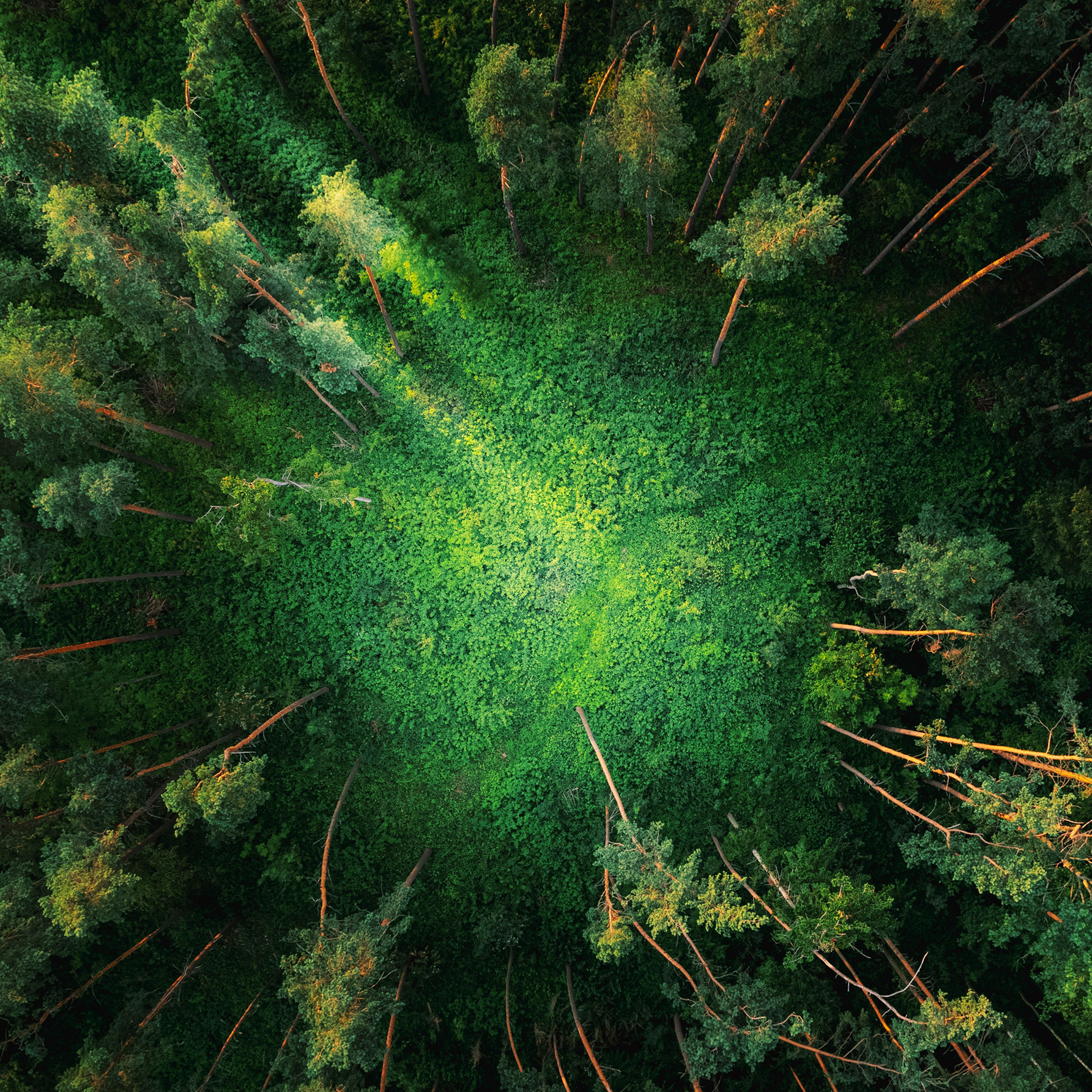 klimabezogene KI Behauptungen