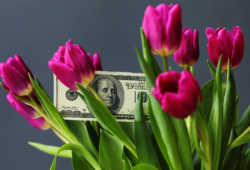 Frühling 2026: Zwischen Zinshoffnung und Wachstumszweifeln